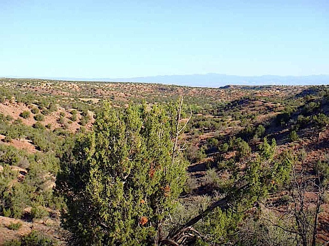 Lot-74-Jemez-and-Red-Rock