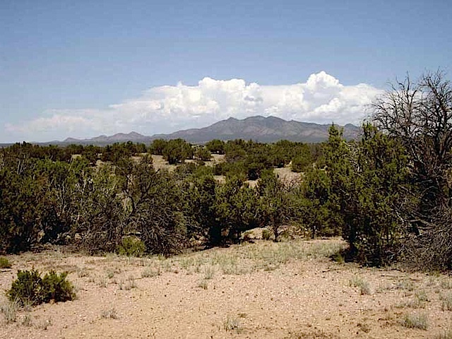 Lot-74-SPO-Ortiz2