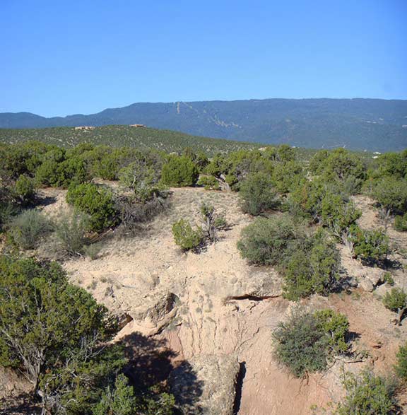 Lot-75-West-View