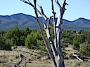 Lot 82 SPO East View of Monte Largo Mountains