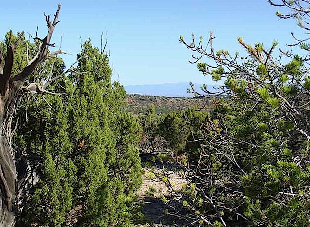 Lot-82-North