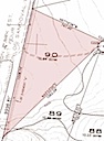 Lot 90 Phase III Topo