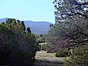 Lot 98 Phase I SPCE San Pedro Mountains