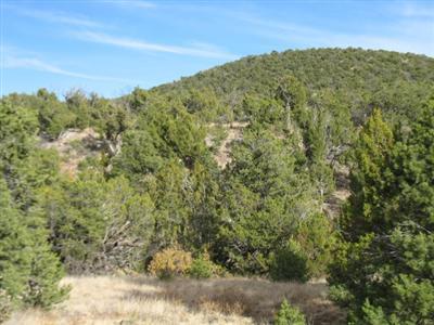 New Mexco Foreclosure