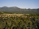 South Mountain, Monte Largo, and Paako Golf