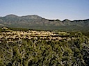 South Mountain, Monte Largo, and Paako Golf