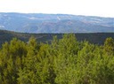 San-Pedro-Creek