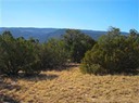 San-Pedro-Creek 