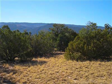 San-Pedro-Creek 