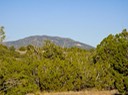 San Pedro Overlook-