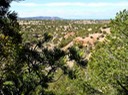 San Pedro Overlook Homes