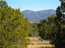 San-PedroCreek-Estates
