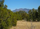 San Pedro Creek