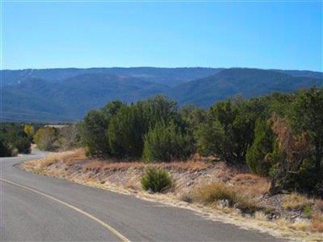San Pedro Creek
