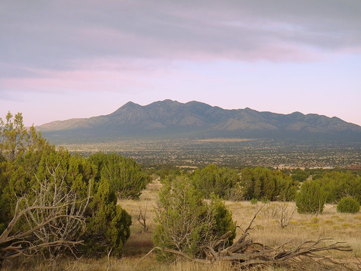 San Pedro Creek