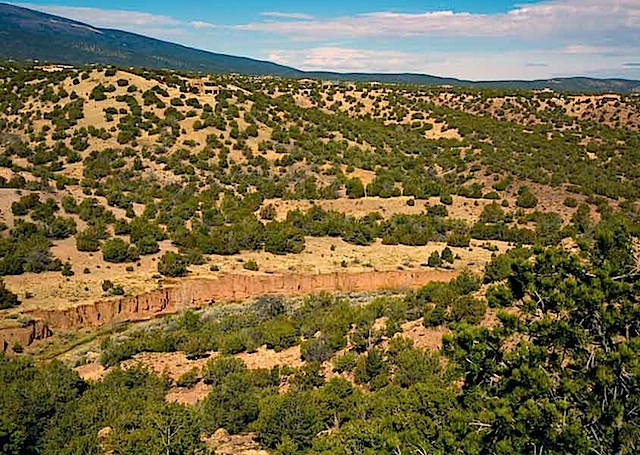San-Pedro-Creek-Bed
