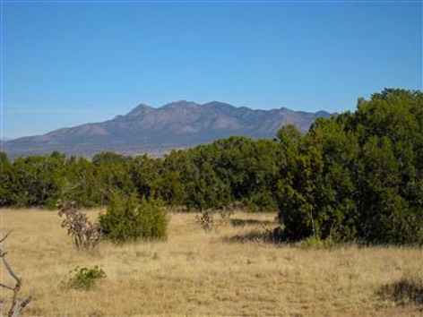 San Pedro Creek Estates