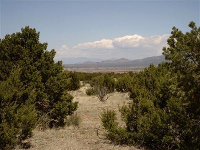 San Pedro Creek Sangre de Cristo