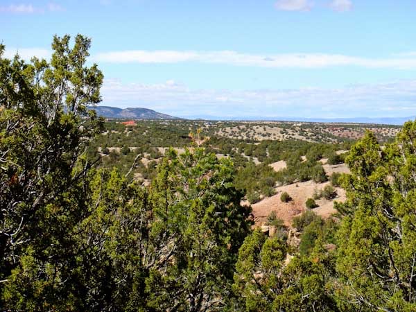 San Pedro Overlook-