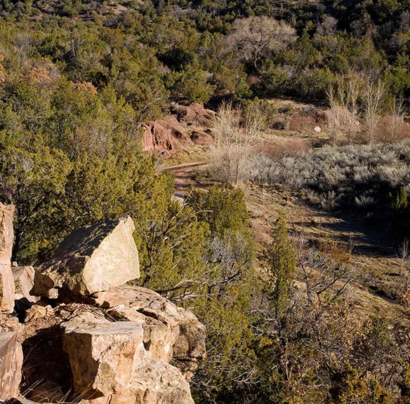 San Pedro Overlook Lot 62 Nature Area