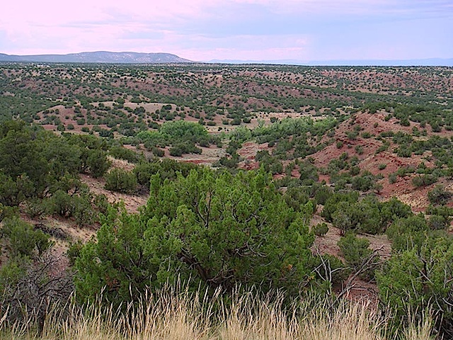 San-Pedro-Overlook-Lot-89-nature-preserve3