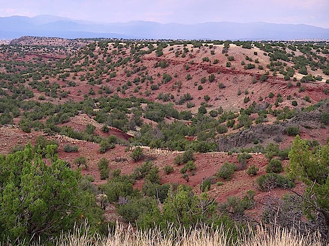 San-Pedro-Overlook-Lot-89-nature-preserve4