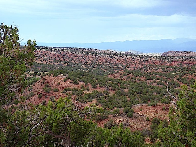 San-Pedro-Overlook-Lot-89-nature-preserve5