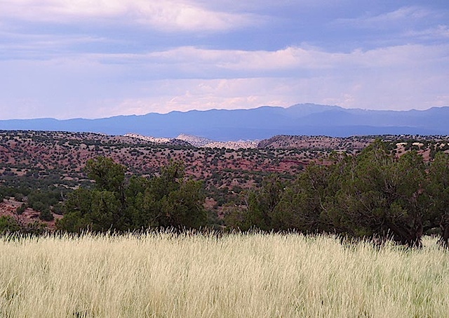 San-Pedro-Overlook-Lot-89-nature-preserve