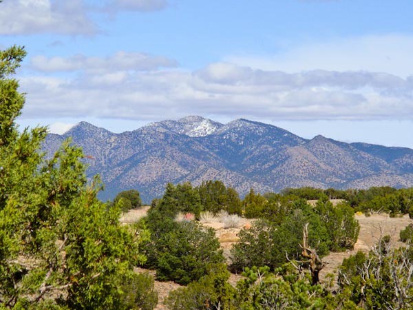 Sandia- Park Real Estate