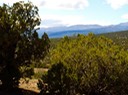 Sandia park