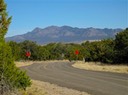 Sandia Park Real Estate