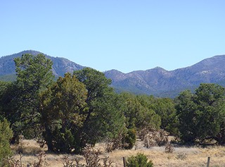 Sandia-Park-Real-Estate