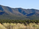 Sandia Park-Real Estate