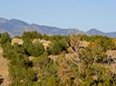 Sandia Park-Real-Estate