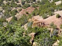 Sandia-Park-Real Estate