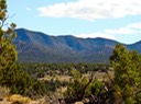 Sandia Park Real Estate