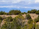 Sandia Park  Real Estate