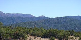 Sandia-Park