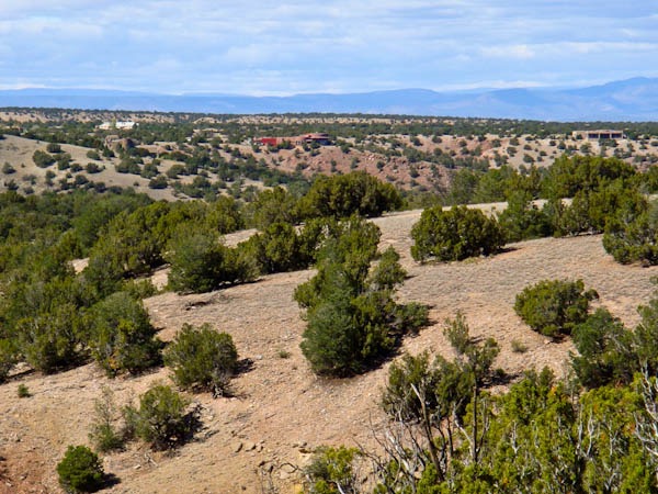 Sandia-Park Real Estate