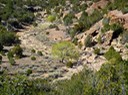 Sandia parkrealEstate