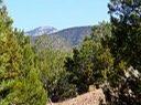 Sandia Park-Real Estate