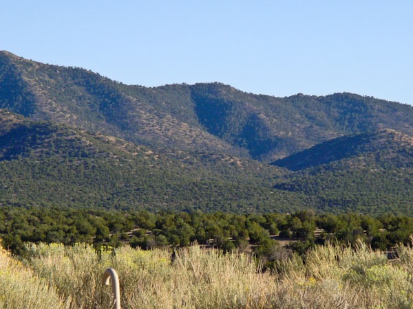 Sandia Park-Real Estate