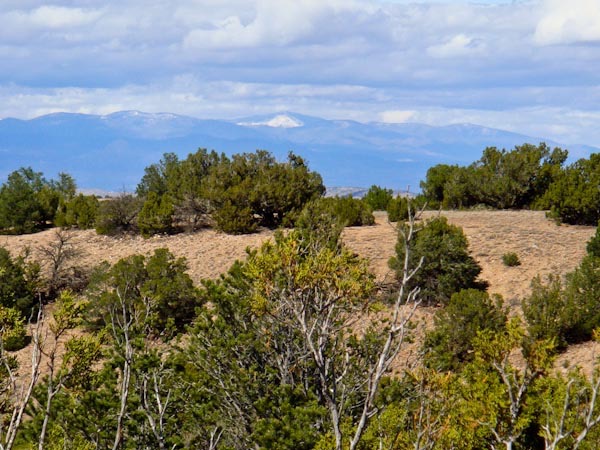 Sandia Park  Real Estate