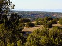 Sandia Park Real Estate