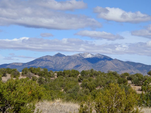 Sandia Park real Estate