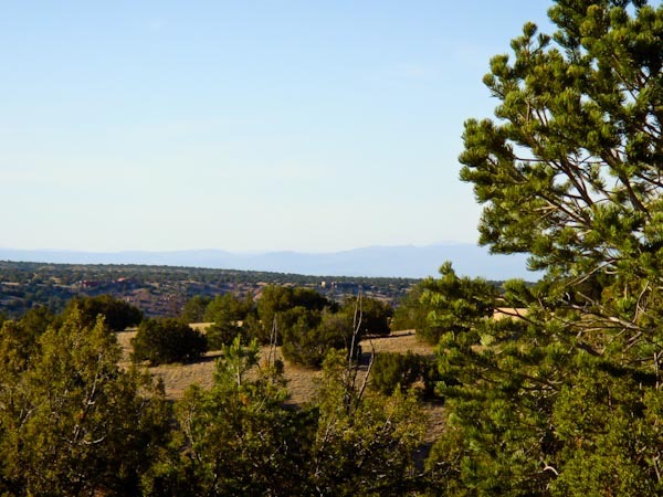 Sandia Park Real Estate