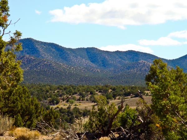 Sandia Park Real Estate