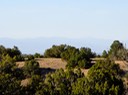 SandiaParkRealEstate