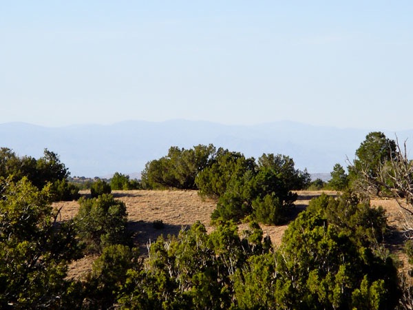 SandiaParkRealEstate