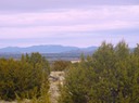 SanPedroCreek_Estates